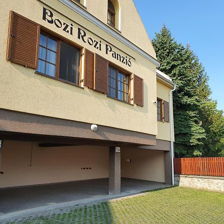 Bozi Rozi Panzio Hotell Fertőboz Exteriör bild