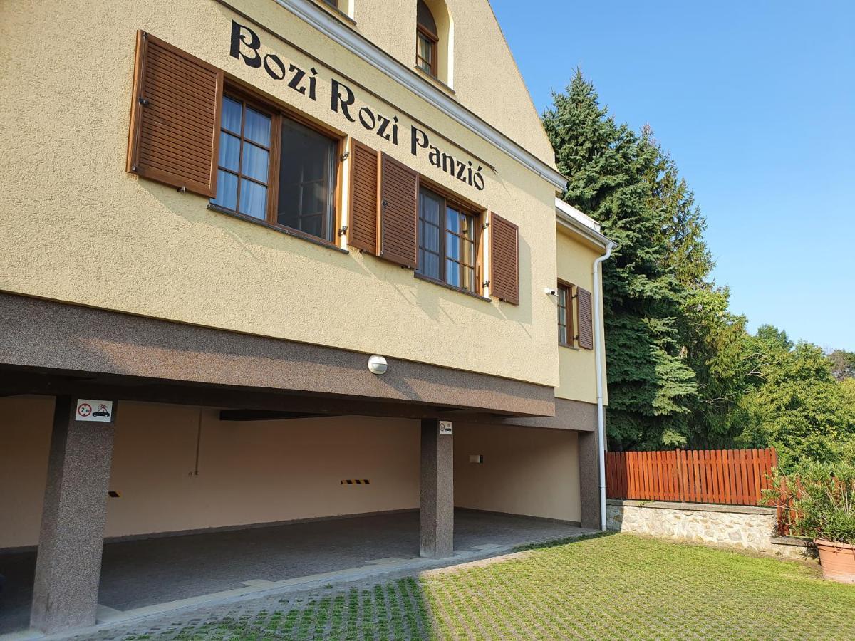 Bozi Rozi Panzio Hotell Fertőboz Exteriör bild