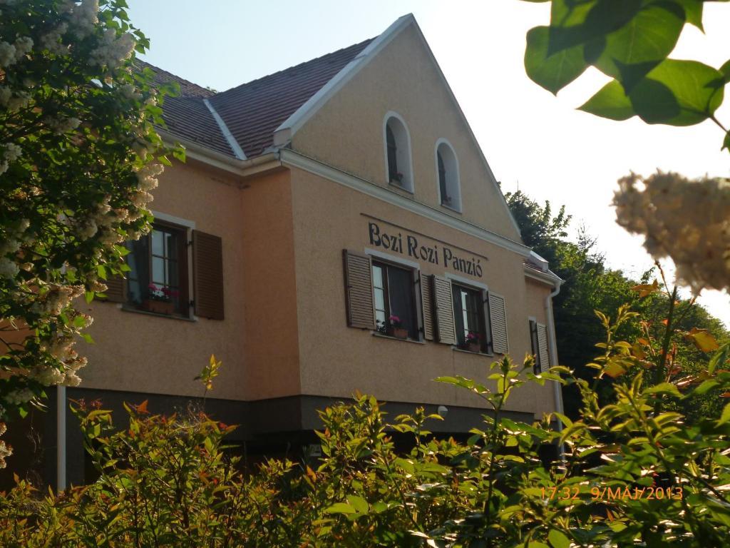Bozi Rozi Panzio Hotell Fertőboz Exteriör bild